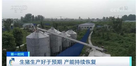 央視：1頭豬賺2200元！生豬產(chǎn)能恢復(fù)好于預(yù)期，豬價(jià)超前期高點(diǎn)將不再可能？